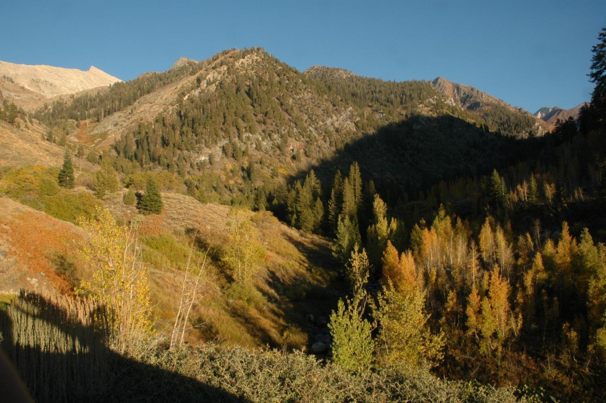 Silver City Mountain Resort Three Rivers Esterno foto