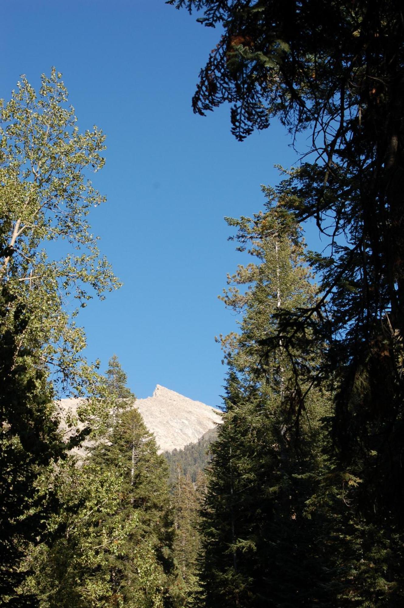 Silver City Mountain Resort Three Rivers Esterno foto